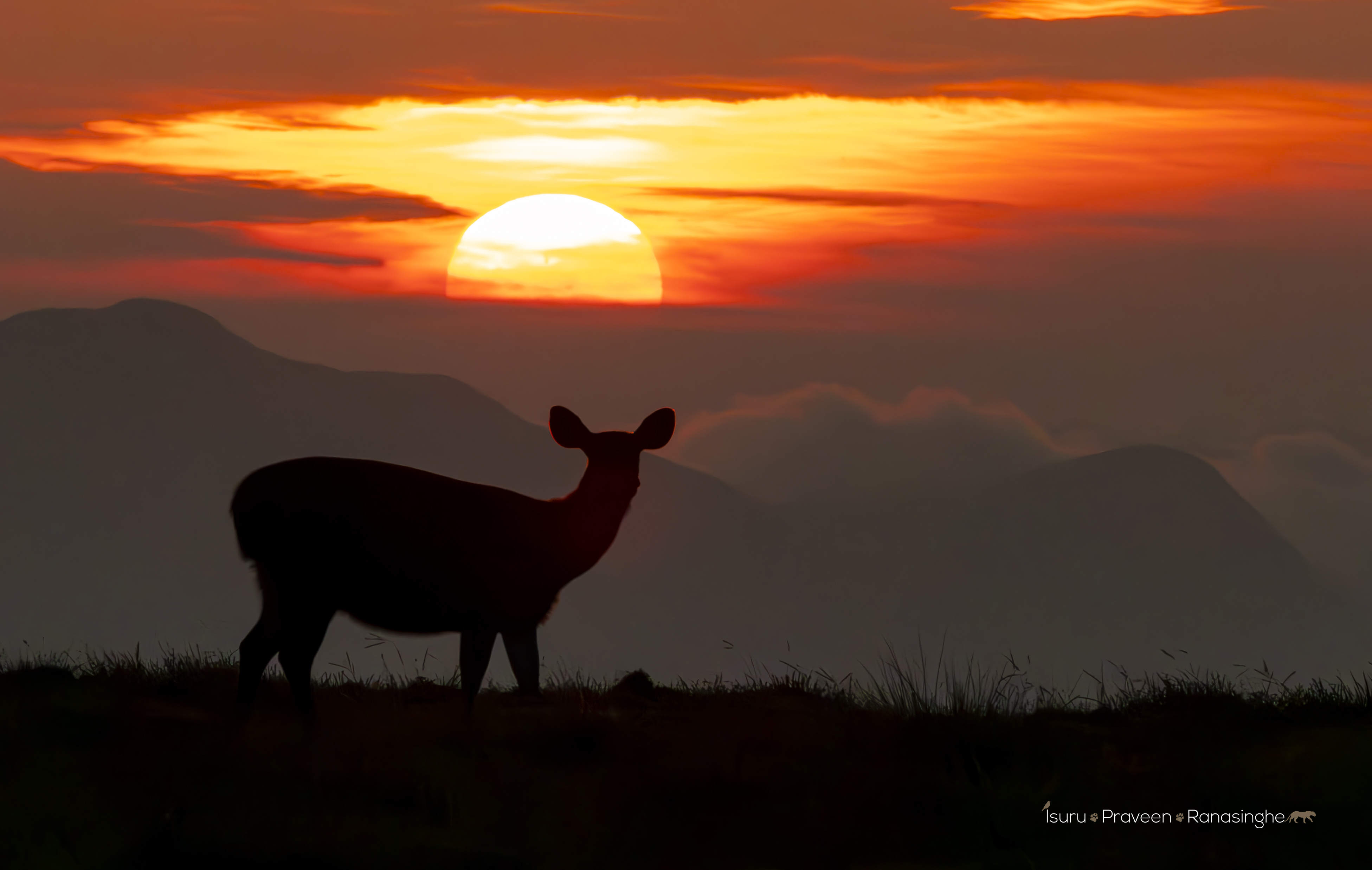 Horton Plains Highland Trek